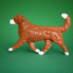 Nova Scotia Duck Tolling Retriever