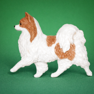 Papillon-Red-and-White