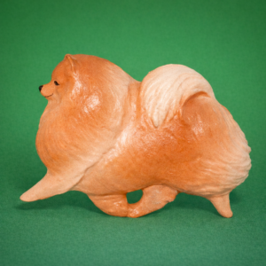 Pomeranian-Orange