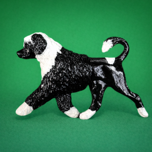 Portuguese Water Dog Bl and Wh