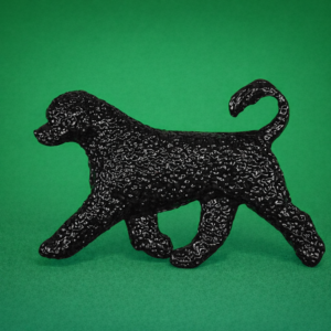 Portuguese Water Dog Retriever Clip