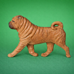 Shar Pei Fawn
