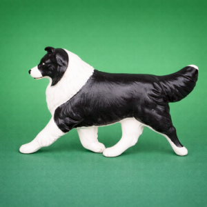 Sheltie Bi Black