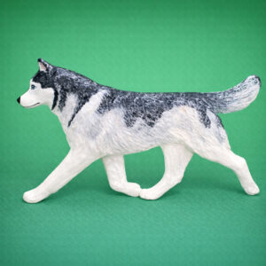 Siberian Husky