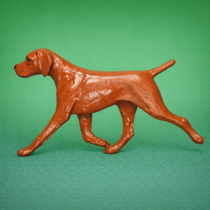 Vizsla