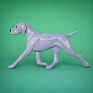 Weimaraner