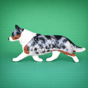 Welsh Cardigan Corgi Blue Merle