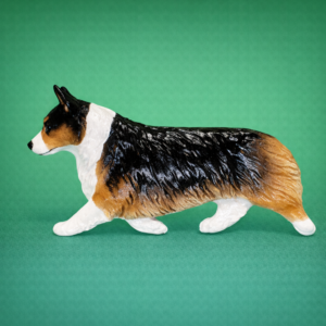 Welsh Pembroke Corgi Sable