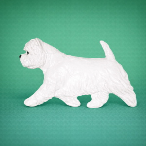 Westie
