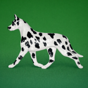 Great Dane Harlequin