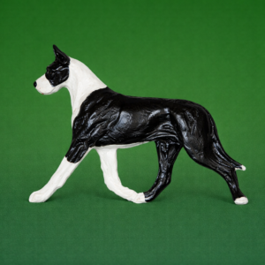 Great Dane Tuxedo