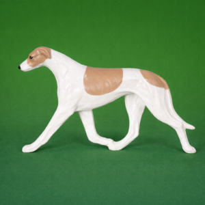 Greyhound Fawn