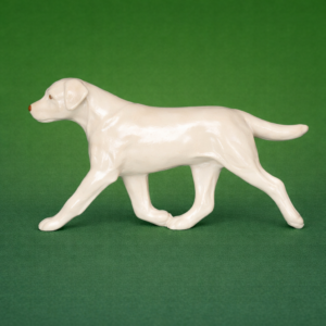 Labrador Retriever Yellow