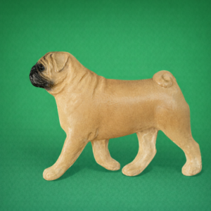 Pug Fawn