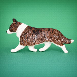 Welsh Cardigan Corgi Brindle