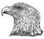 hotdiggitydog-exotic hotdiggitydog-exotic